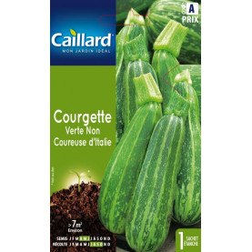 Graine De Courgette Verte D'italie Nc