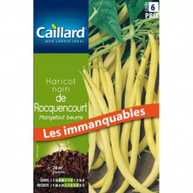 Graine De Haricot Nain Mangetout De Rocquencourt