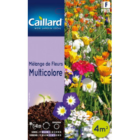 Graine De Melange De Fleurs Multicolore