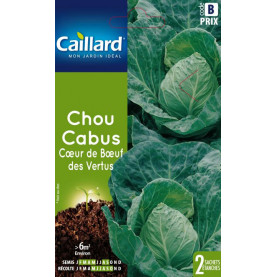 Graine De Chou Cabus Coeur De Boeuf Des Vertus