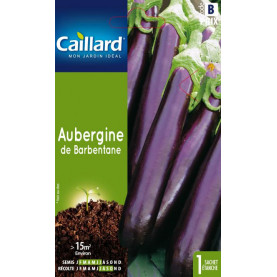 Graine D'aubergine De Barbentane