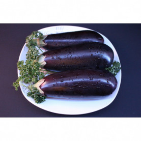 Graine D'aubergine De Barbentane 