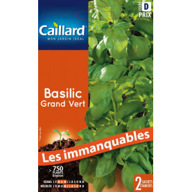 Graine De Basilic Grand Vert 