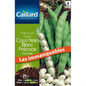 Graine De Haricot Nain A Ecosser Coco Nain Blanc Précoce