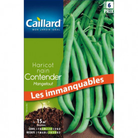 Graine De Haricot Nain Mangetout Contender