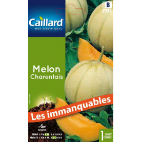 Graine De Melon Charentais 