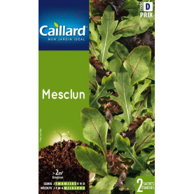 Graine De Mesclun 