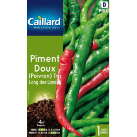 Graine De Piment Doux (poivron) Très Long Des Landes