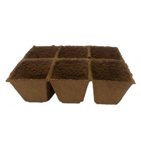 Pots Carrés Biodegradable 8x8x8 Par 6