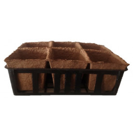 Pots Carrés Biodegradable 8x8x8 Par 6 Avec Clayette