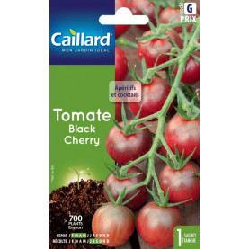 Graine De Tomate Black Cherry