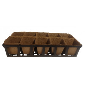 Pots Carrés Biodegradable 8x8x8 Par 10 Avec Clayette