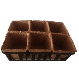 Pots Carrés Biodegradable 8x8x8 Par 6 Avec Clayette